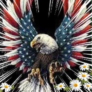 Meet your Posher, Dylan